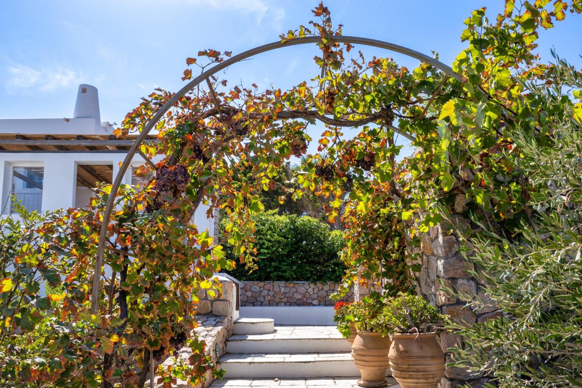 Anema Boutique Hotel & Villas Santorini Βούρβουλος Εξωτερικό φωτογραφία