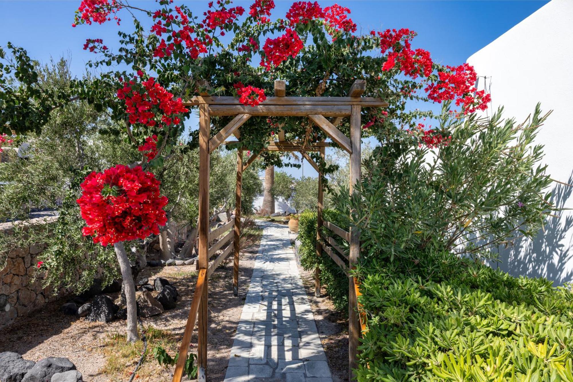 Anema Boutique Hotel & Villas Santorini Βούρβουλος Εξωτερικό φωτογραφία